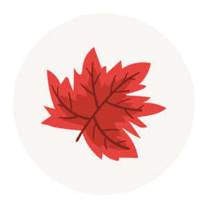 Maple