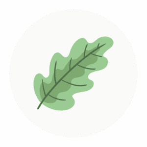 oak-class