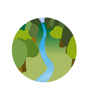 Stream